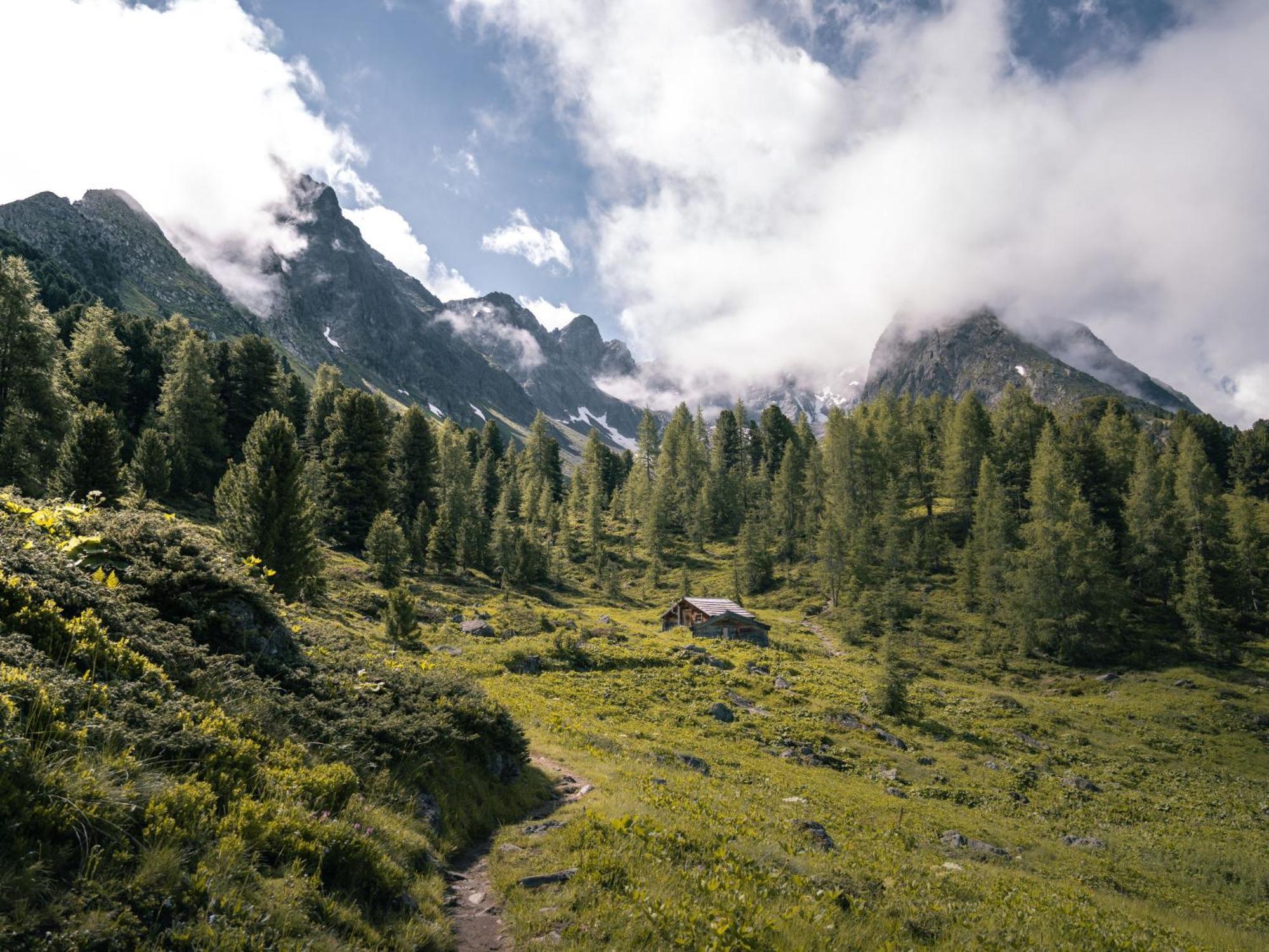 Alpenflora By Interhome Apartment